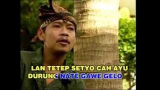 CAMPUR SARI   JENANG GULO