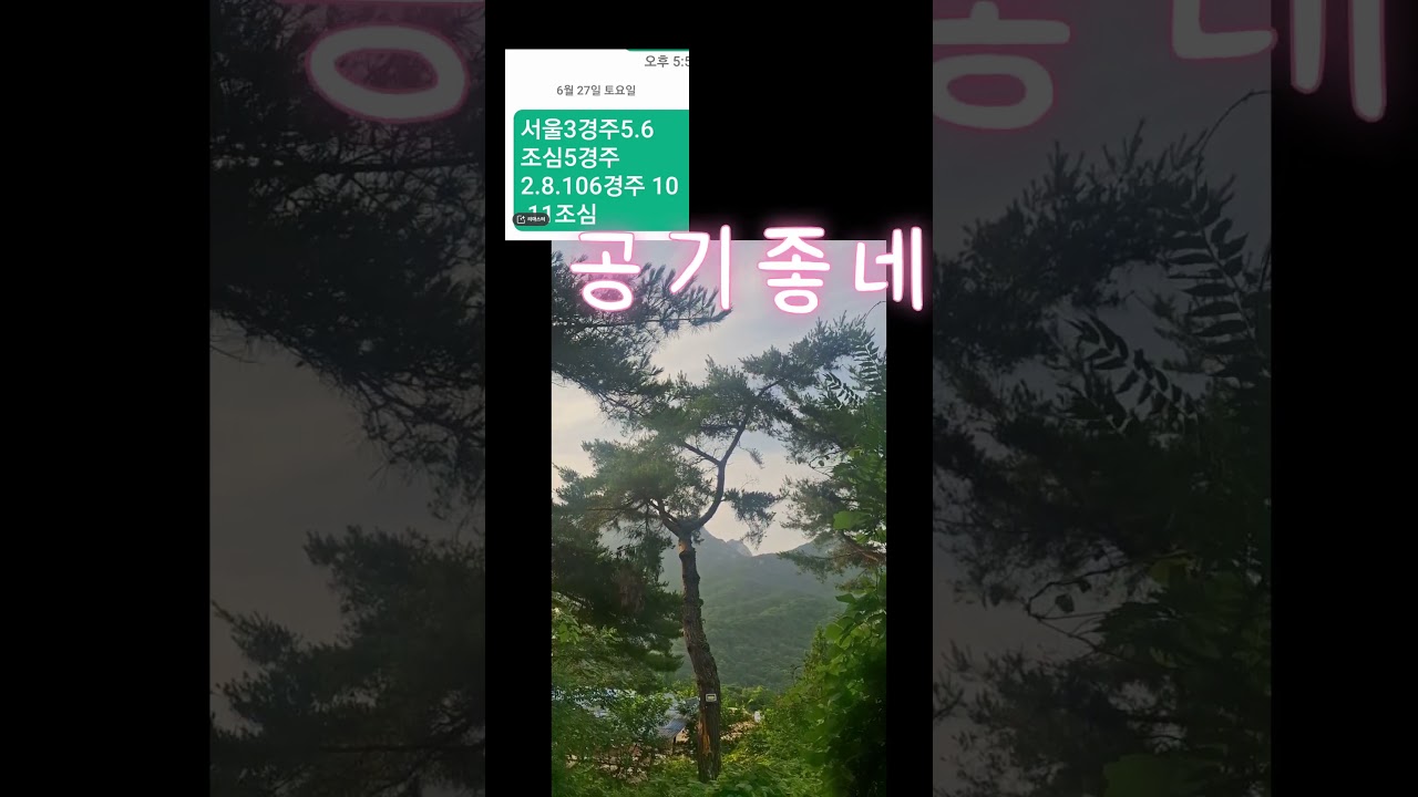 서울 경주조심