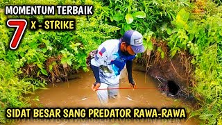 TOP 7 TERBAIK | TARIKAN SIDAT RAWA SUPER BESAR SANG PENGUASA RAWA KOTA JEMBER