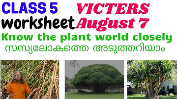 VICTERS|CLASS 5|BASIC SCIENCE|KNOW THE PLANT WORLD CLOSELY|WORKSHEET|AUGUST 7