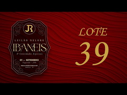 LOTE 39   PRI 2356