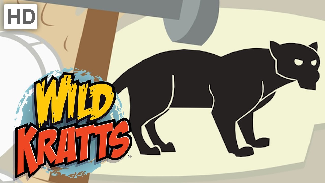 wild kratts puma