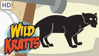 Wild Kratts  Best Season 1 Moments! (Part 3) | Kids Videos