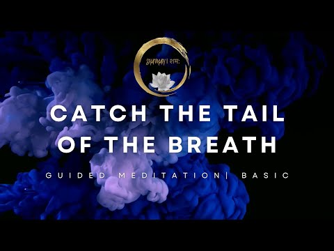 Catch The Tail of The Breath | Guided Meditation | Basic