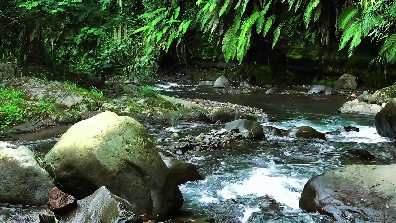 Forest River Sounds – Peaceful Flowing River & Calming Water Sounds for Deep Sleep