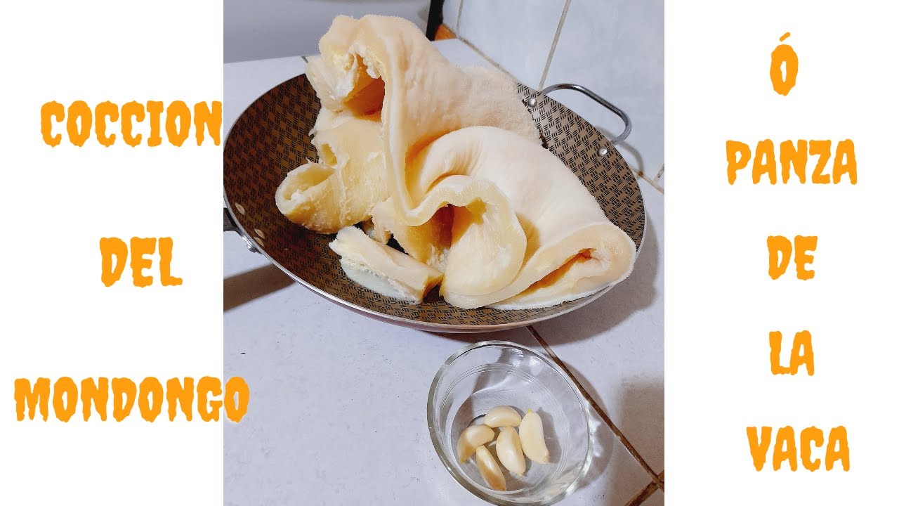 COCCIÓN DEL MONDONGO O PANZA DE LA VACA YouTube COCCIÓN DEL MONDONGO O PANZA DE LA VACA YouTube