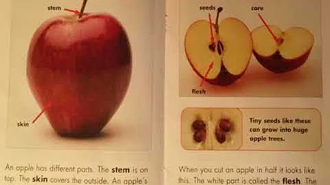Amazing Apples listening file