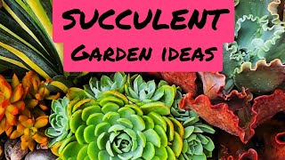 SUCCULENT GARDEN IDEAS