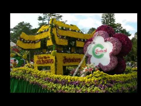 CHUYỆN TÌNH CÔ LÁI ĐÒ BẾN HẠ. St Hoàng Thi Thơ. Tb Kim Liên.