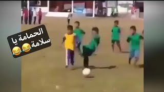 الحمامة يا سلامة😂😂 - بتعليق معاذ ماهر اتحداك الا تضحك 😂😂😂