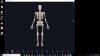 3D4Medical HOW TO