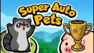 How I Won A Super Auto Pets Tournament