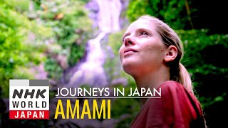 Amami Oshima: Beauty in the Rain  Journeys in Japan