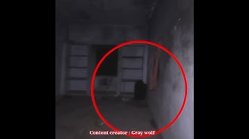 🔥🔥Gray wolf bro exploring haunted places 🔥🔥