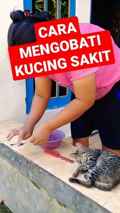 cara mengobati kucing sakit lemas gak mau makan kucing liar #shorts #subscribe
