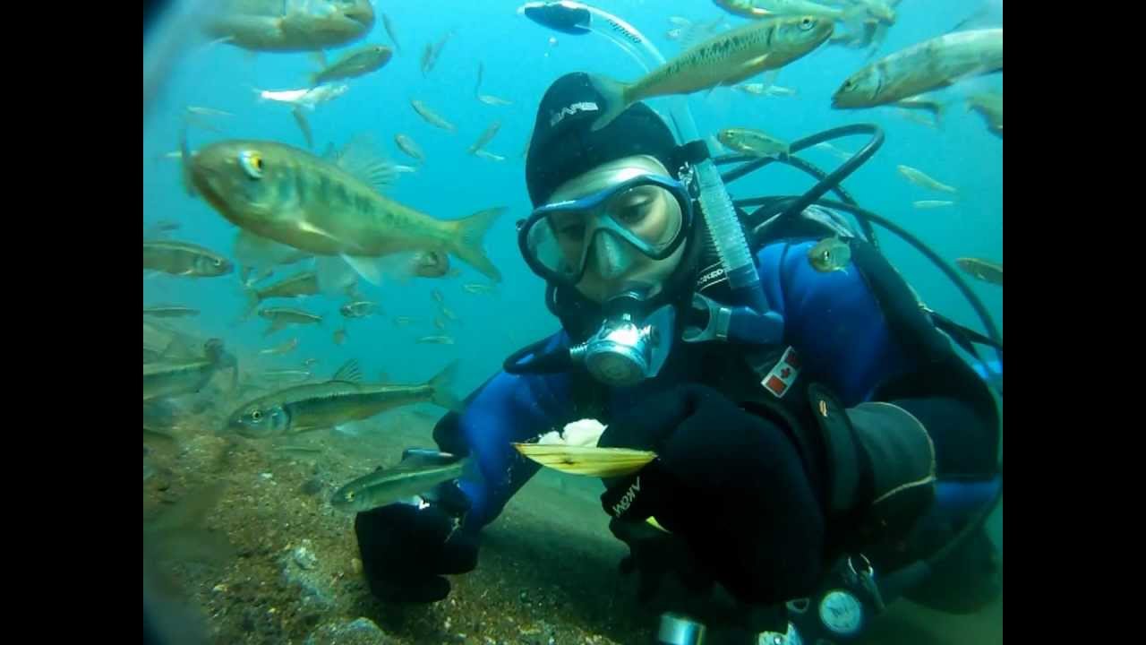 Plongée sous marine - Domaine de l'Argentière