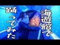 夜の海遊館めっちゃ楽しい！さとゆい大阪旅行2017 の動画、YouTube動画。