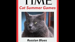 Catnip Doping Scandal Russian Blue Cat