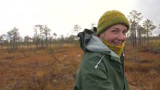 Заповедник Васюганский, Томская Область/Vasyugansky Nature Reserve - Essential, Tomsk Region