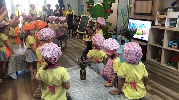 Tham quan trường mầm non Wonderland Đà Nẵng