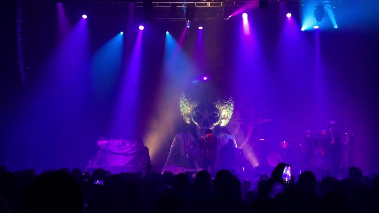 20221024 CYPRESS HILL TEQUILA SUNRISE YouTube