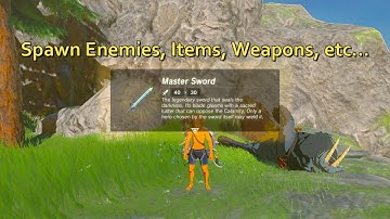 BOTW: Spawn Enemies, Items, Weapons, etc... Nintendo Switch