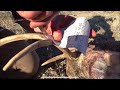 IDAHO SPOT AND STALK MULE DEER/ BOW HUNTING/ WARNING KILL SHOTS