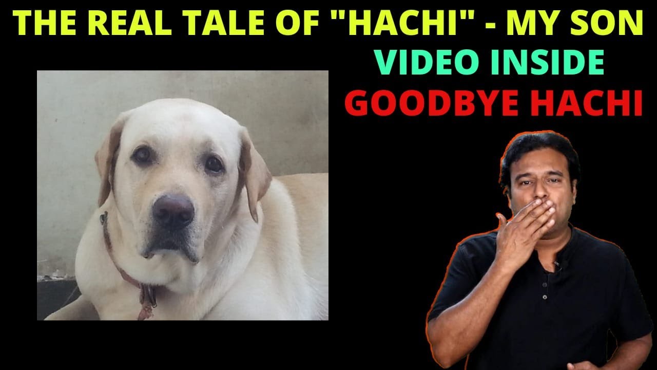 GOODBYE HACHI WE LOVE YOU SO MUCH THE REAL TALE OF HACHI MY SON goodbye-hachi-we-love-you-so-much-the-real-tale-of-hachi-my-son