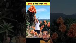 Naya Naya Fal Milega