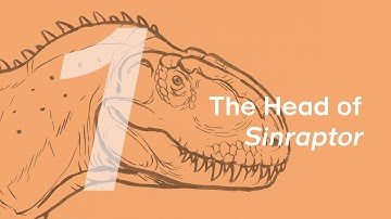 Xinchuan the Sinraptor 1: The Head | Learn to Draw Dinosaurs with ZHAO Chuang