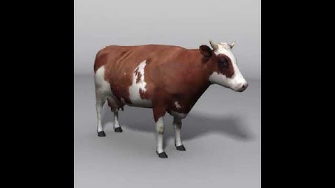 animal cow  3D model from CGTrader.com