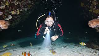 Octopus attacks a man under the sea