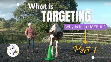 P1 What is Targeting? And why is it so USEFUL?