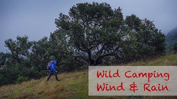 Stealth Camping in Strong Winds & Rain Using the Zpacks Duplex Tent