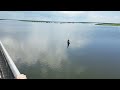 Maude catches a keeper at Lake Okeechobee on 5.15.2017
