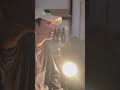 【エモノリ】tuki./ 晩餐歌 #tuki #晩餐歌 #優里 #歌うま #歌ってみた #エモい #神曲 #cover.