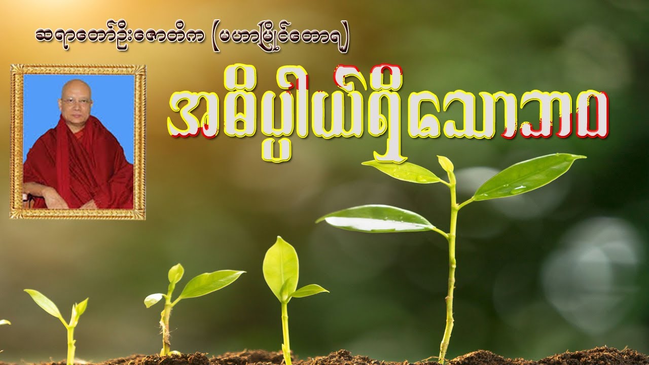အဓိပါယ်ရှိသောဘ၀  ဆရာတော်ဦးဇောတိက (မဟာမြိုင်တောရ)
