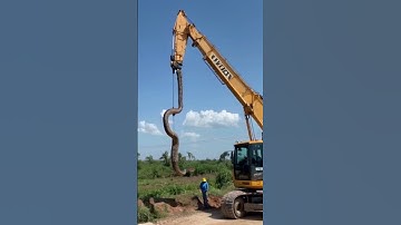 Caught on Camera:  Moving a Giant Snake with a Crane! #shorts #shortvideo #monster #crane #snake