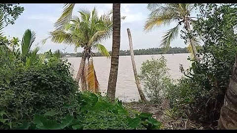 MS 88. Bán 5000m2 đất vườn ven sông, giá 700tr/công. huyện Tân Phú Đông, Tiền Giang.Lh: 0867759959.