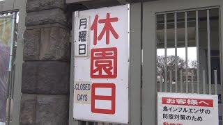 ３羽が鳥インフル確定　東山動植物園、殺処分せず