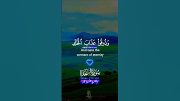 تلاوة خاشعة بصوت جميل ومؤثر #قران_كريم #قرآن #elmulquranعلم #المصحف #اكسبلور #trend #duet #لايك
