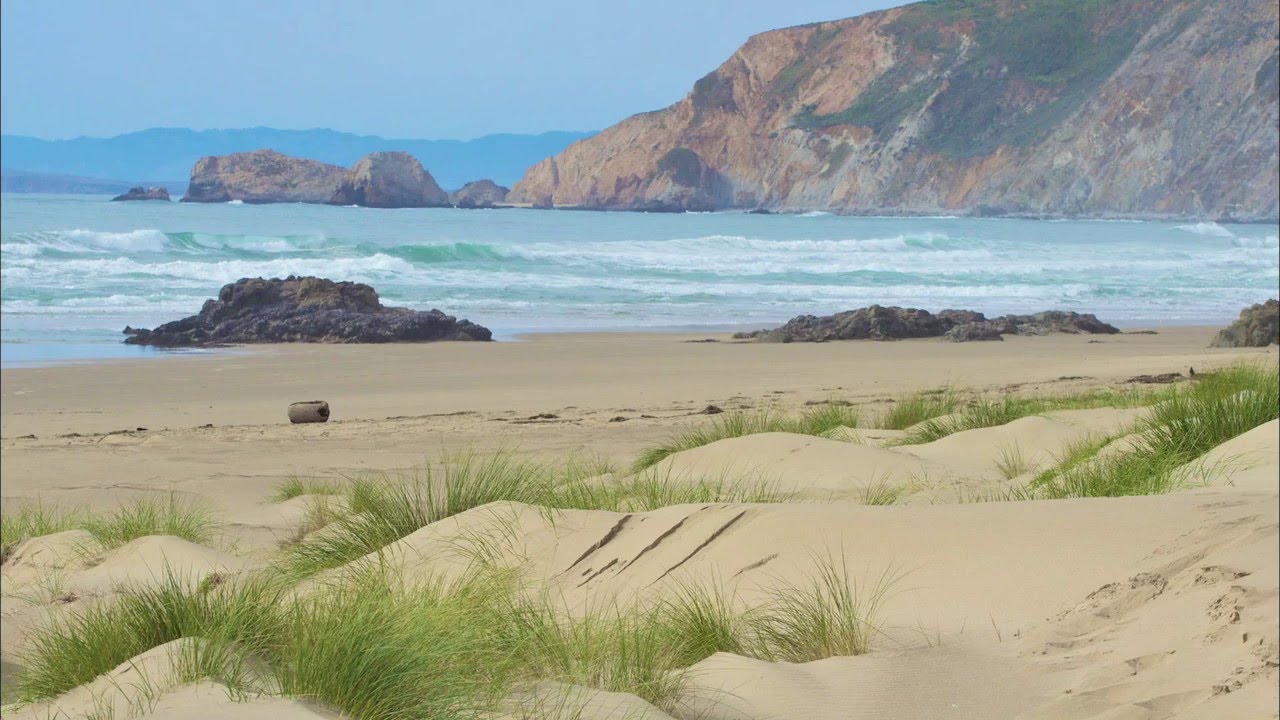Wilderness Visions: Point Reyes Wilderness