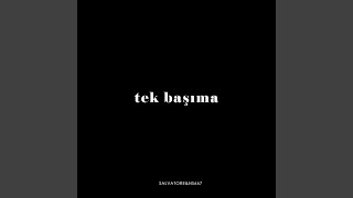 Tek BAŞIMA - Salvatore & NS667