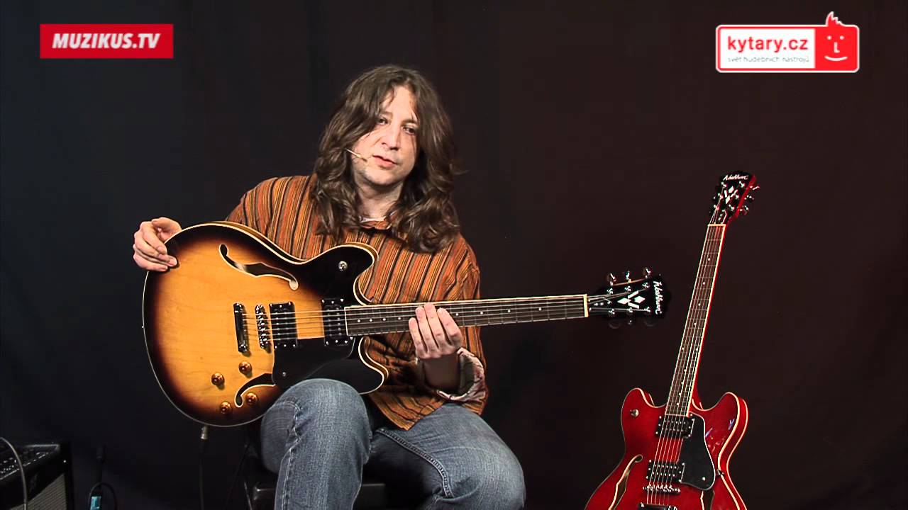 Washburn HB30TS (Milan Kramarovič)