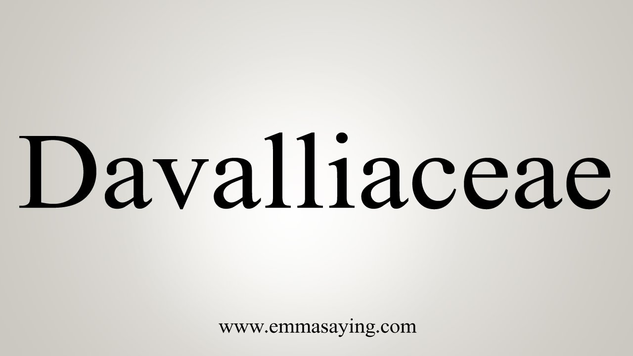 How To Say Davalliaceae
