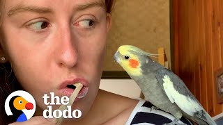 16YearOld Cockatiel Needs Emotional Support Mug | The Dodo