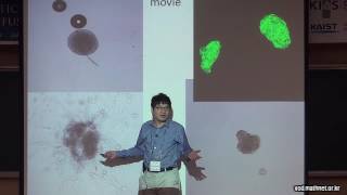 The role of chemotaxis and diffusion processes in tumor growth models