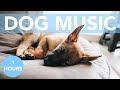 Firework Music! Music to Calm Your Dog on 4th July! Anti-Anxiety Tones