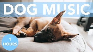 Firework Music! Music to Calm Your Dog on 4th July! AntiAnxiety Tones