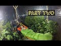 Greenhouse Experiment Quiz